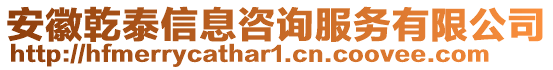 安徽乾泰信息咨詢服務(wù)有限公司