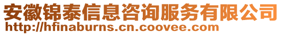 安徽錦泰信息咨詢服務(wù)有限公司