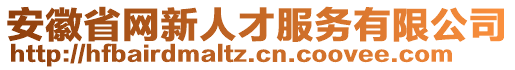 安徽省網(wǎng)新人才服務(wù)有限公司