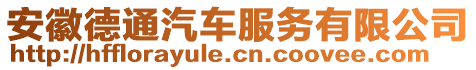 安徽德通汽車服務(wù)有限公司