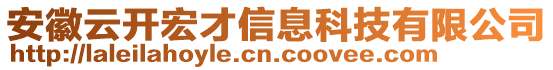 安徽云開宏才信息科技有限公司