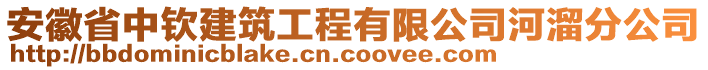 安徽省中欽建筑工程有限公司河溜分公司