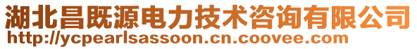 湖北昌既源電力技術咨詢有限公司