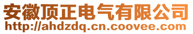 安徽頂正電氣有限公司