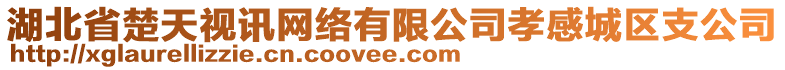 湖北省楚天視訊網(wǎng)絡(luò)有限公司孝感城區(qū)支公司