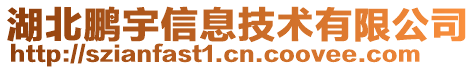 湖北鵬宇信息技術(shù)有限公司