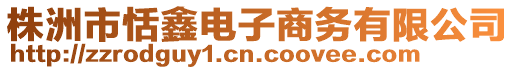 株洲市恬鑫電子商務(wù)有限公司