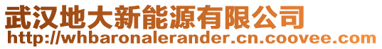 武漢地大新能源有限公司