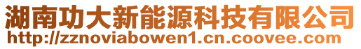 湖南功大新能源科技有限公司