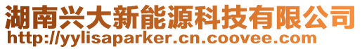 湖南興大新能源科技有限公司