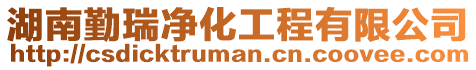 湖南勤瑞凈化工程有限公司