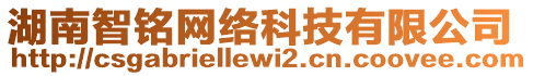 湖南智铭网络科技有限公司