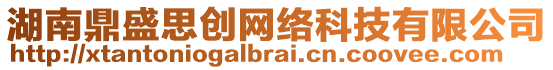 湖南鼎盛思創(chuàng)網絡科技有限公司