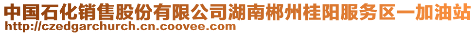 中國石化銷售股份有限公司湖南郴州桂陽服務(wù)區(qū)一加油站