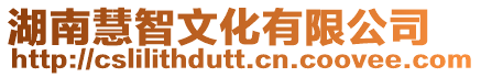 湖南慧智文化有限公司
