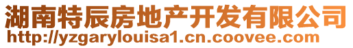 湖南特辰房地產(chǎn)開發(fā)有限公司