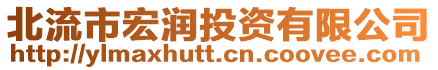 北流市宏潤(rùn)投資有限公司