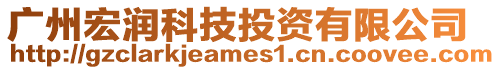 廣州宏潤科技投資有限公司