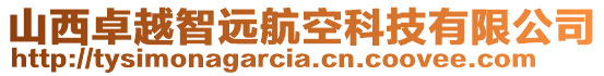 山西卓越智遠(yuǎn)航空科技有限公司