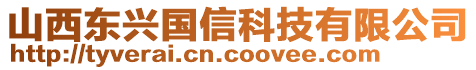 山西東興國信科技有限公司