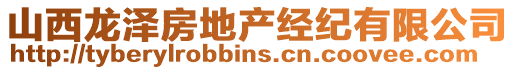 山西龍澤房地產經紀有限公司