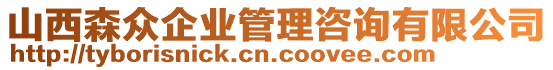 山西森眾企業(yè)管理咨詢有限公司