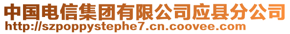 中國(guó)電信集團(tuán)有限公司應(yīng)縣分公司