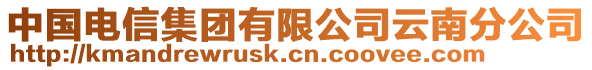 中國電信集團有限公司云南分公司