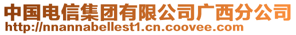 中國電信集團有限公司廣西分公司