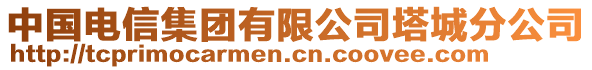 中國電信集團有限公司塔城分公司