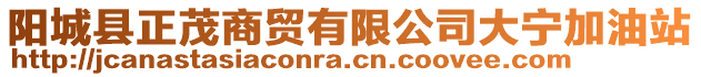 陽城縣正茂商貿(mào)有限公司大寧加油站