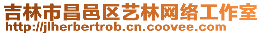 吉林市昌邑區(qū)藝林網(wǎng)絡(luò)工作室