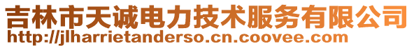 吉林市天誠電力技術(shù)服務(wù)有限公司