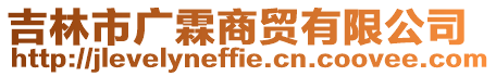 吉林市廣霖商貿有限公司