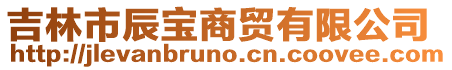 吉林市辰寶商貿有限公司