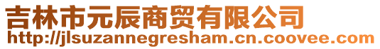 吉林市元辰商貿有限公司