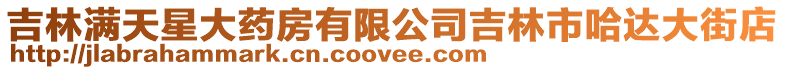 吉林滿天星大藥房有限公司吉林市哈達大街店
