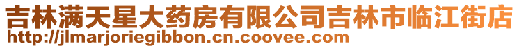 吉林滿天星大藥房有限公司吉林市臨江街店
