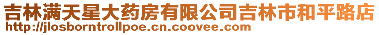 吉林滿天星大藥房有限公司吉林市和平路店