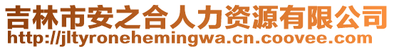 吉林市安之合人力資源有限公司