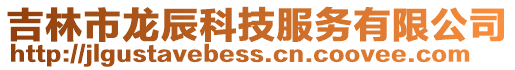 吉林市龍辰科技服務有限公司