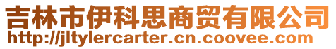 吉林市伊科思商貿有限公司