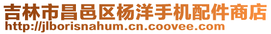 吉林市昌邑區(qū)楊洋手機(jī)配件商店