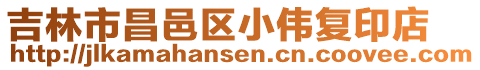 吉林市昌邑區(qū)小偉復(fù)印店