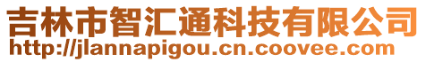 吉林市智匯通科技有限公司