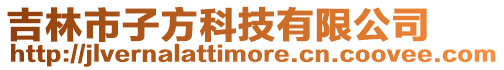 吉林市子方科技有限公司
