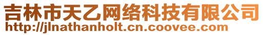 吉林市天乙網(wǎng)絡(luò)科技有限公司