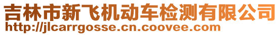 吉林市新飛機動車檢測有限公司