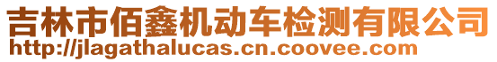 吉林市佰鑫機(jī)動(dòng)車檢測有限公司