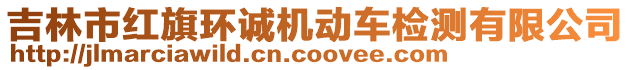 吉林市紅旗環(huán)誠機動車檢測有限公司